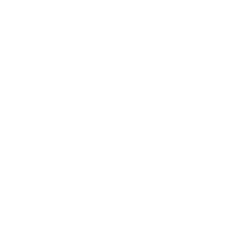 Padrão Puro
